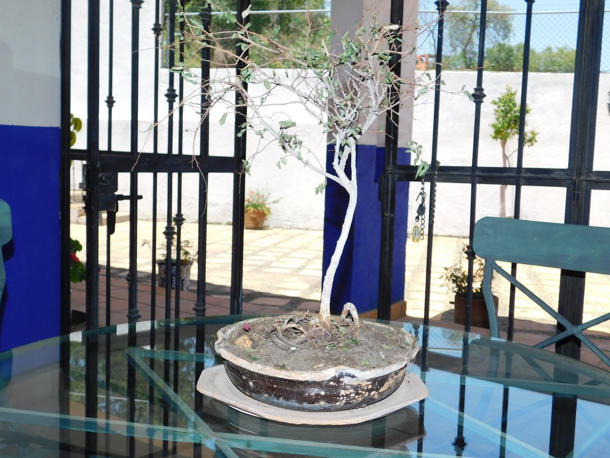 Casa Erizo 39 (Adults Only) Hotel Guanajuato Kültér fotó