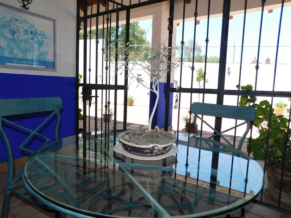 Casa Erizo 39 (Adults Only) Hotel Guanajuato Kültér fotó