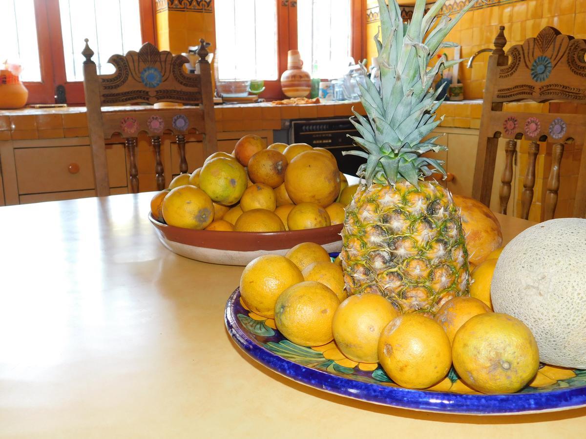 Casa Erizo 39 (Adults Only) Hotel Guanajuato Kültér fotó
